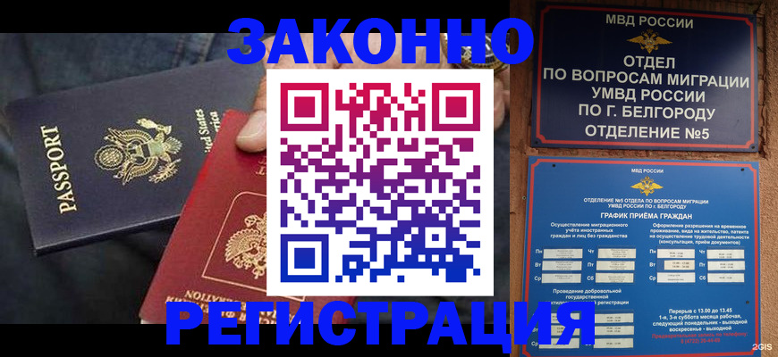 прописка законно в Новороссийске